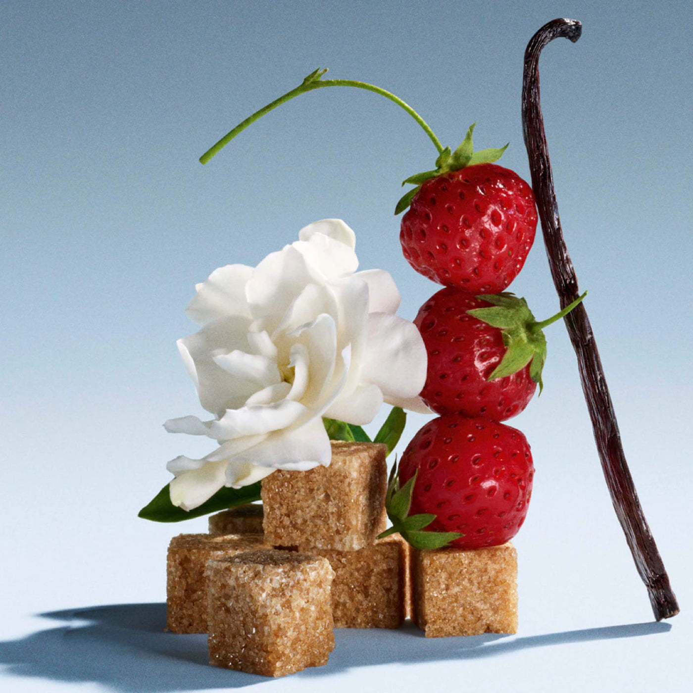 PRE ORDER-Mini Miutine Eau De Parfum Perfume Duo Gift Set