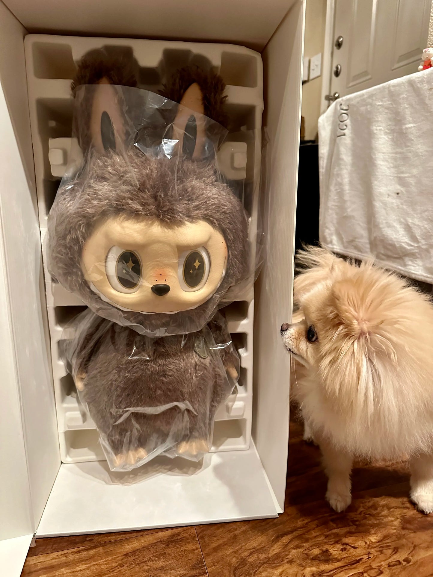 PRE ORDER-Labubu The Monsters ZIMOMO I Found You Vinyl Doll + Tote Bag