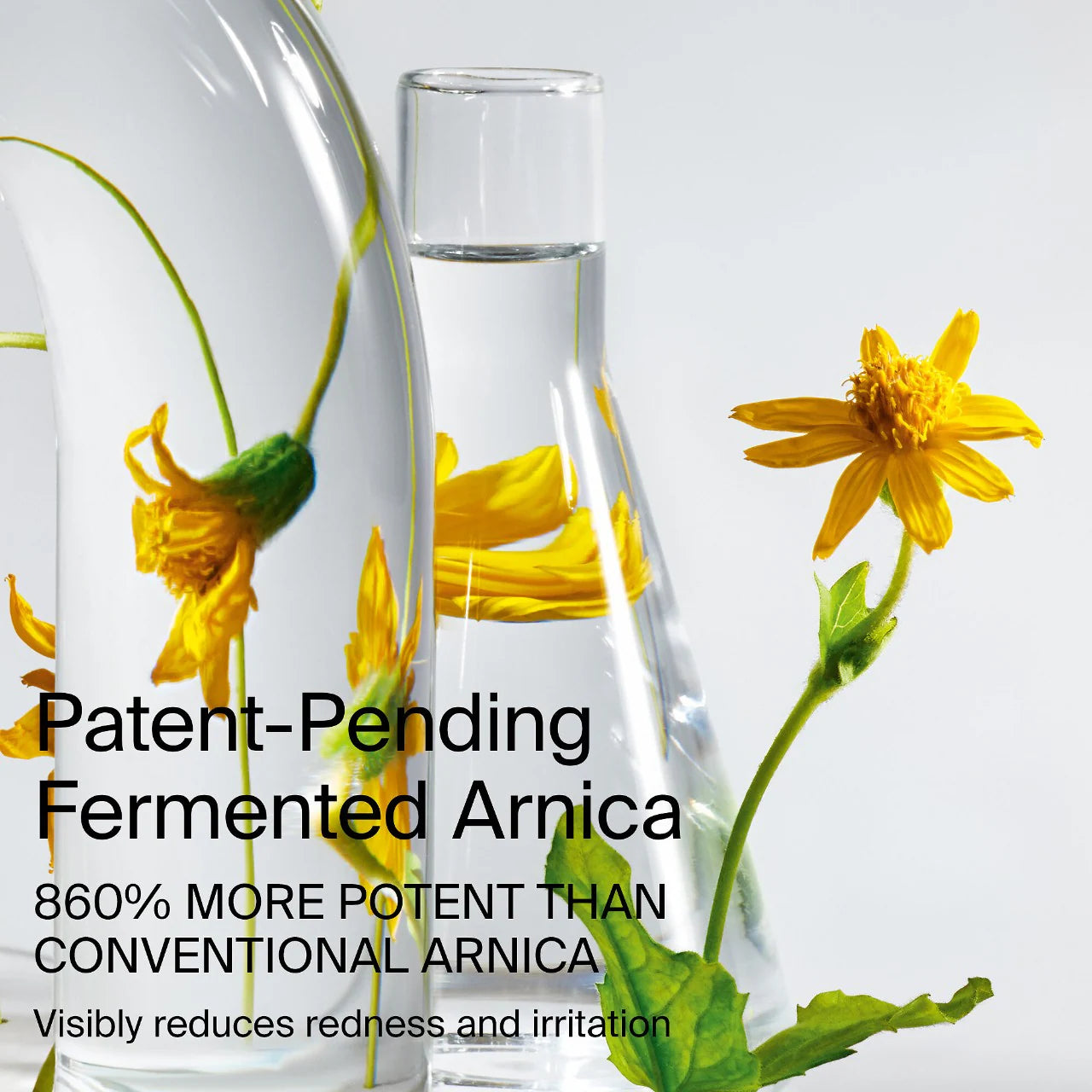 PRE ORDER-Bio-Blurring Talc-Free Loose Setting Powder