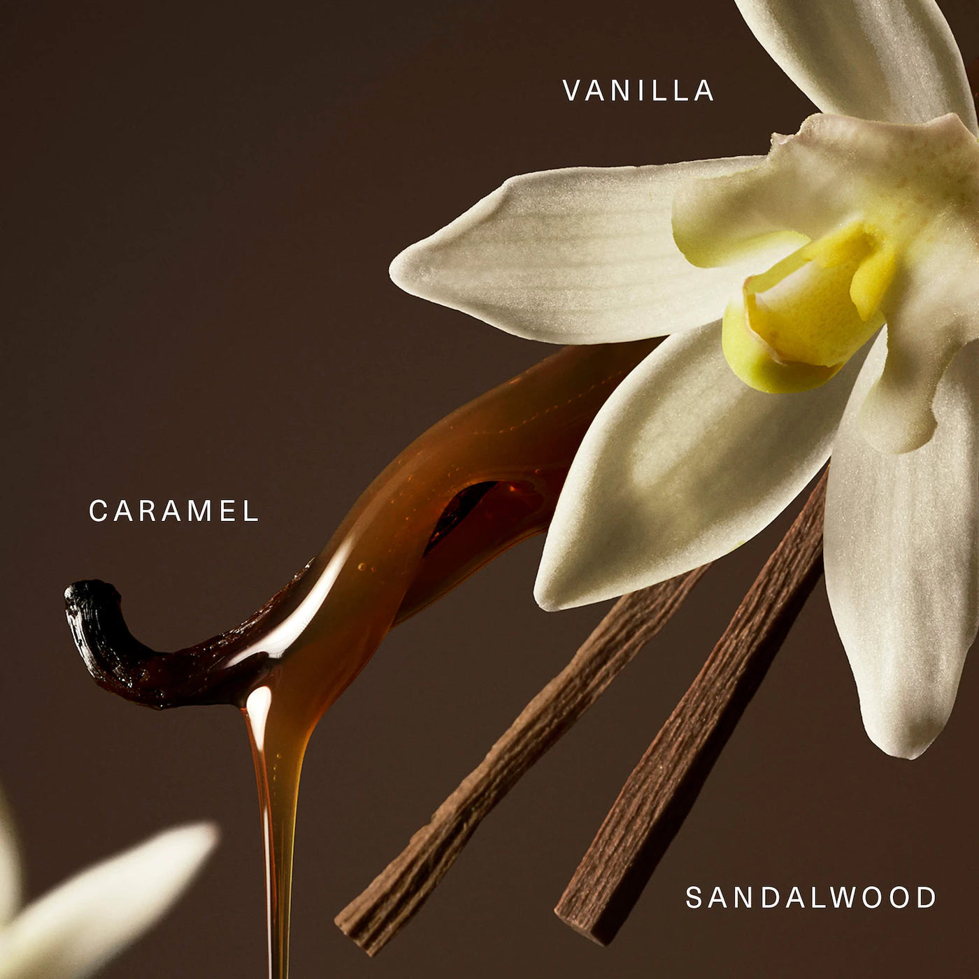 PRE ORDER-Mini Rare Eau de Parfum Set with Vanilla and Caramel